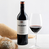 Carramimbre crianza 02 Sonia Bodega